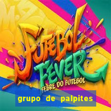 grupo de palpites de futebol telegram